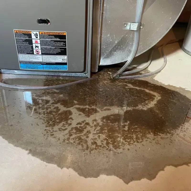 Appliance Leak Cleanup in Moscow, PA